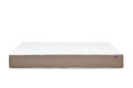 Bamboo 3