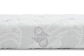Dalia Plus 4