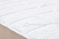 Bamboo 6