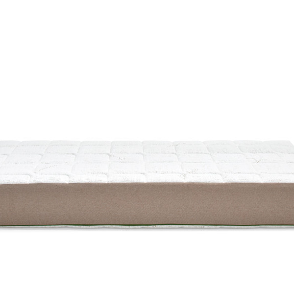 Bamboo 3